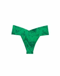 Beta Bottom - Tamale Cactus